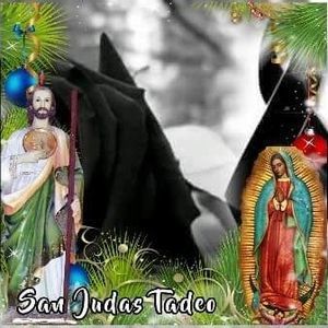 Meet your Posher, Kachanilla